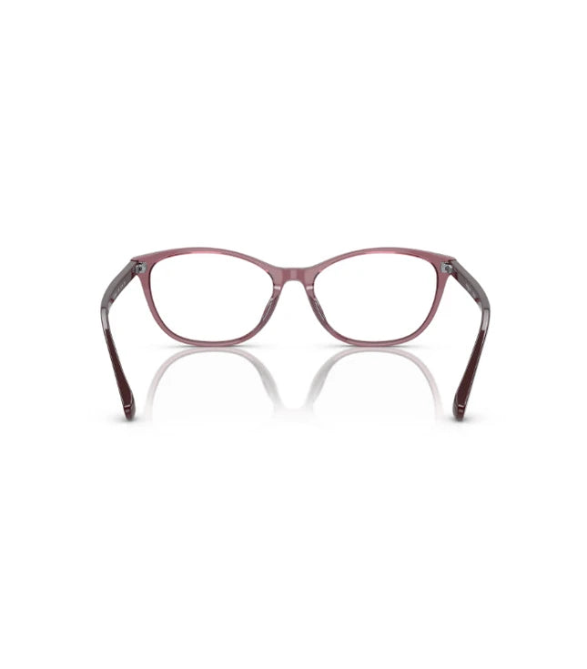 EyeglassesEyeglasses