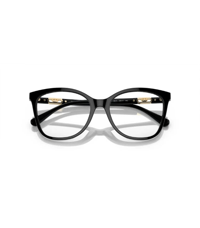 Eyeglasses