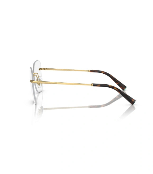 Eyeglasses