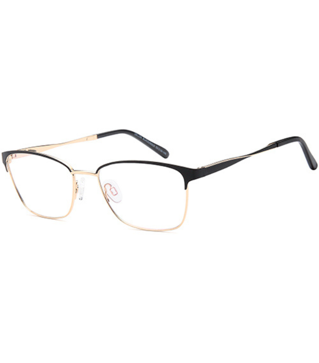 Eyeglasses