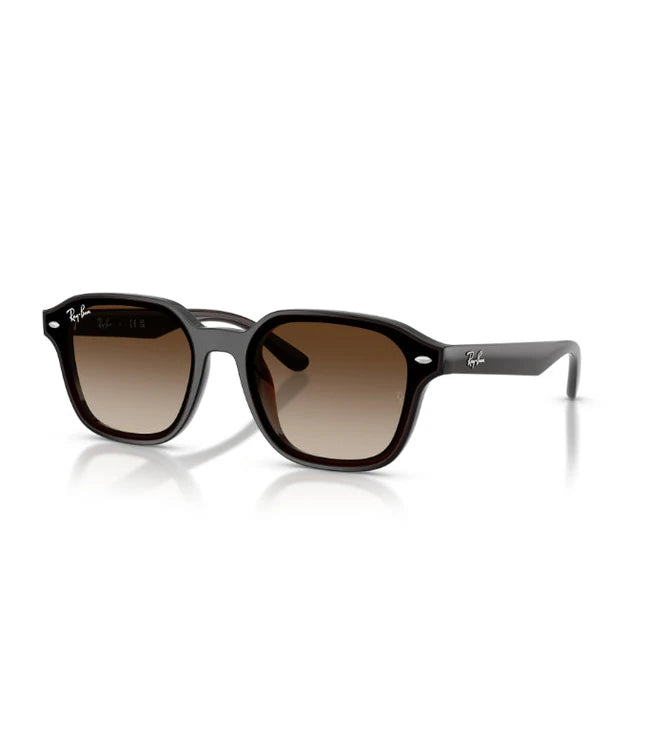 Ray-Ban RB4458D Designer Sunglasses