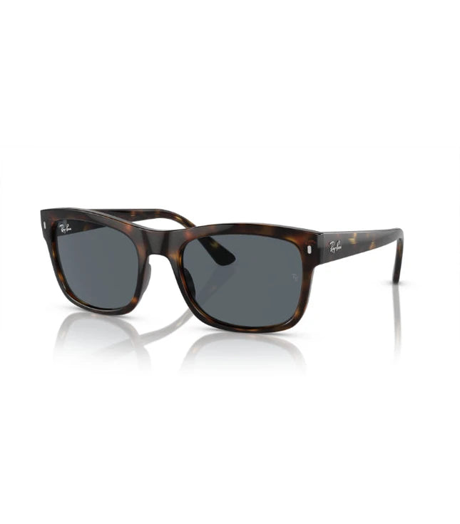 Ray-Ban RB4428 Designer Sunglasses
