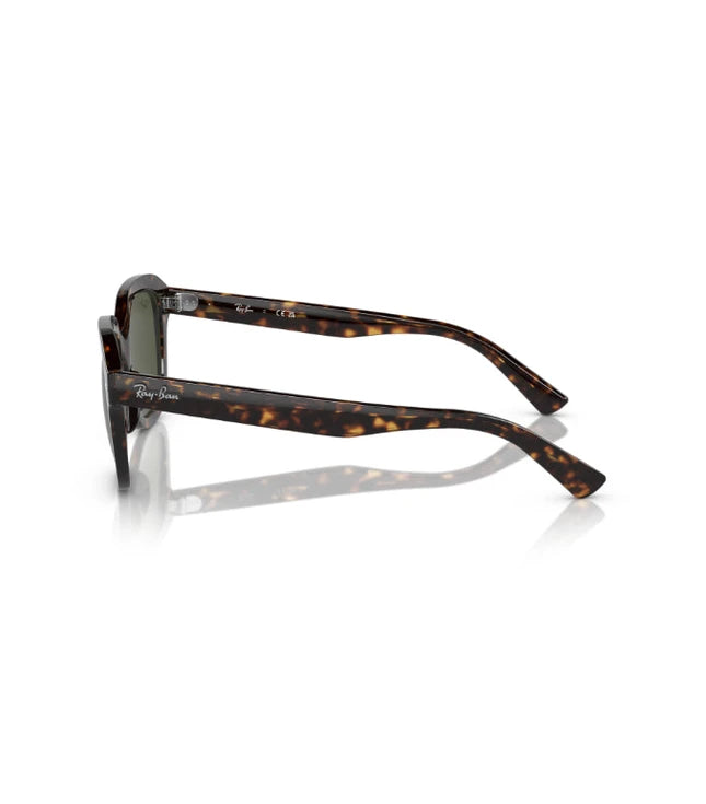 Ray-Ban Erik RB4398 Designer Sunglasses