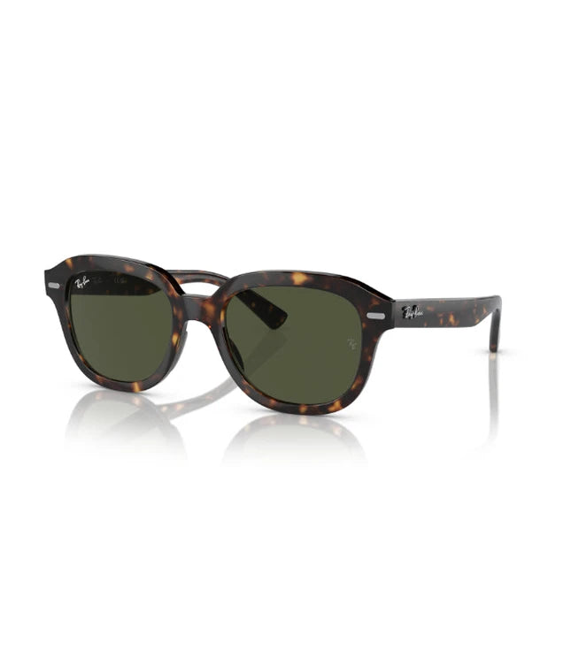Ray-Ban Erik RB4398 Designer Sunglasses