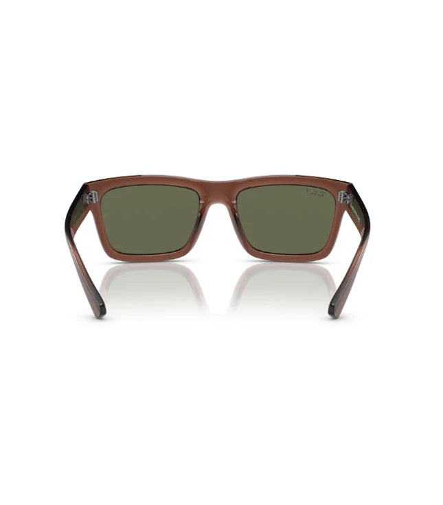 Ray-Ban Warren RB4396 Designer Sunglasses