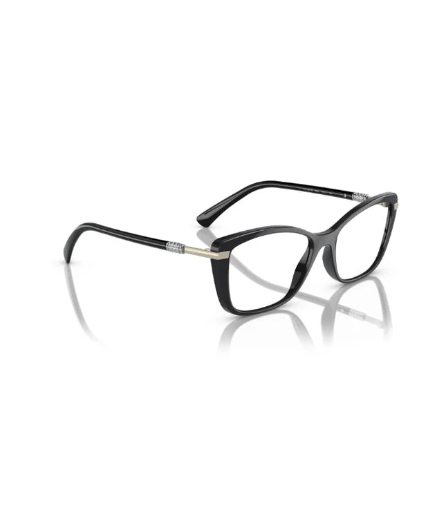 Eyeglasses