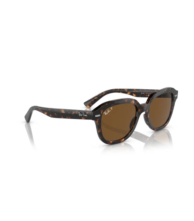 Ray-Ban Erik RB4398 Designer Sunglasses