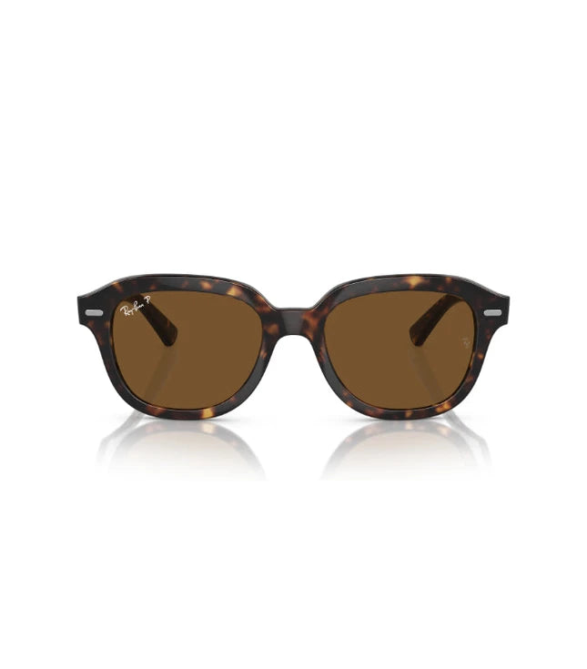 Ray-Ban Erik RB4398 Designer Sunglasses