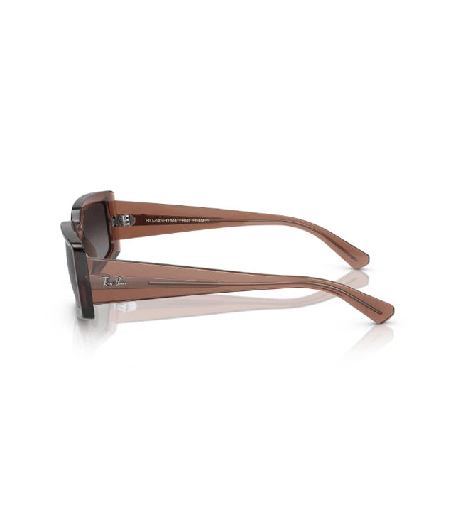Ray-Ban Kiliane RB4395 Designer Sunglasses