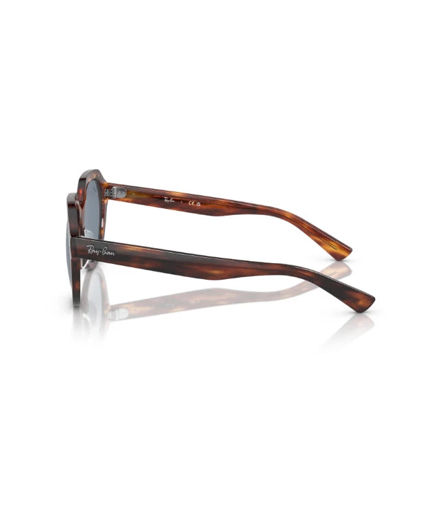 Ray-Ban Gina RB4399 Designer Sunglasses