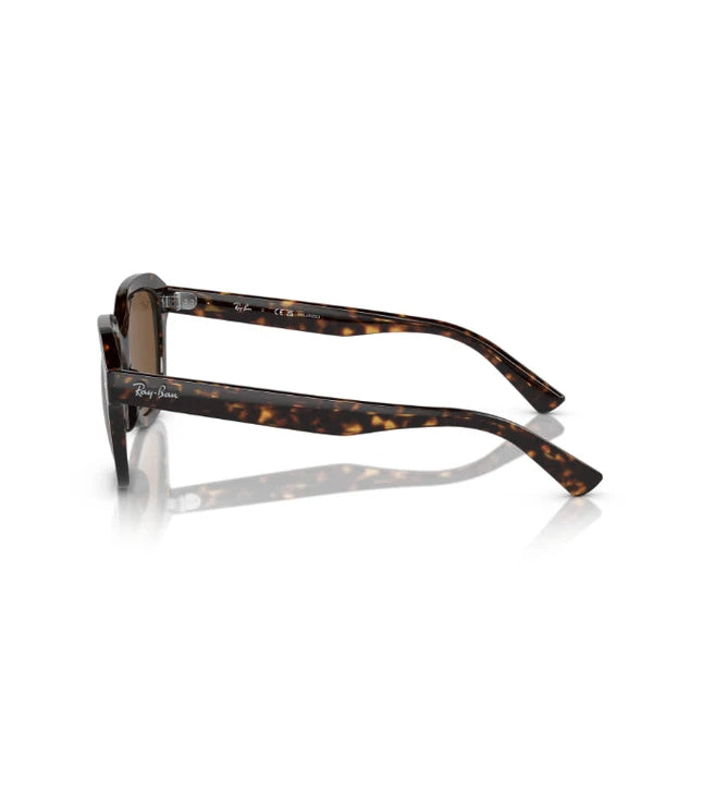 Ray-Ban Erik RB4398 Designer Sunglasses
