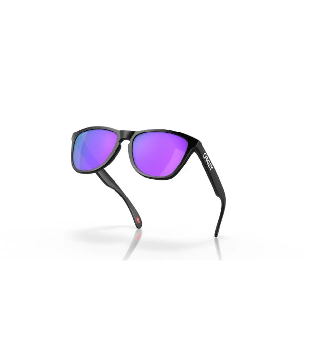 Oakley Frogskins OO9013 Designer Sunglasses