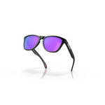Oakley Frogskins OO9013 Designer Sunglasses