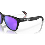 Oakley Frogskins OO9013 Designer Sunglasses