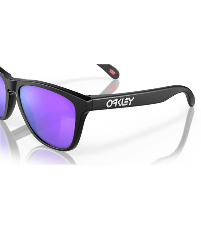 Oakley Frogskins OO9013 Designer Sunglasses