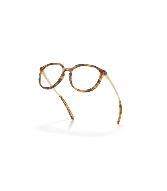Eyeglasses