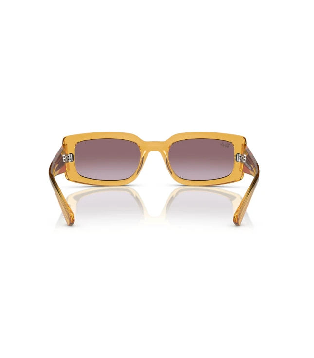 Ray-Ban Kiliane RB4395 Designer Sunglasses