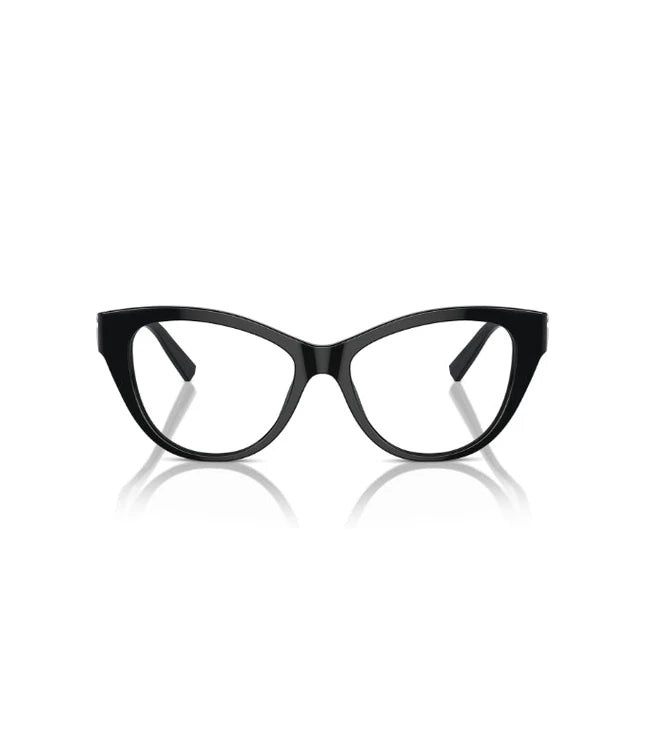 Eyeglasses