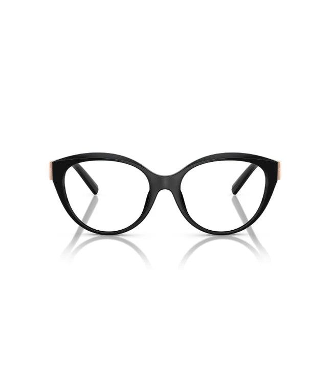 Eyeglasses
