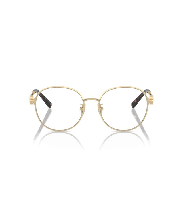 Eyeglasses