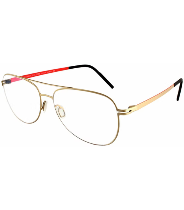 Eyeglasses
