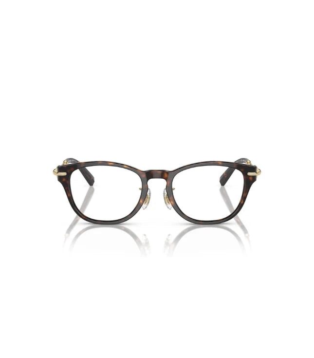 Eyeglasses