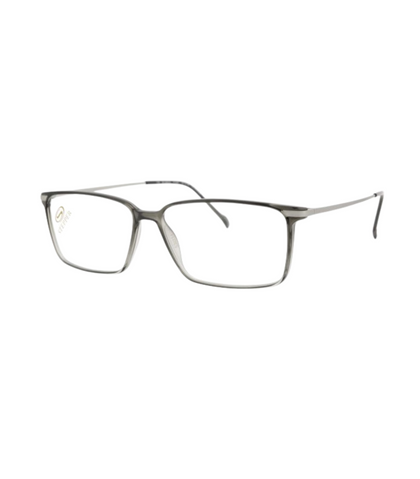 Eyeglasses