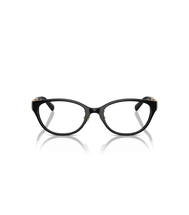 Eyeglasses