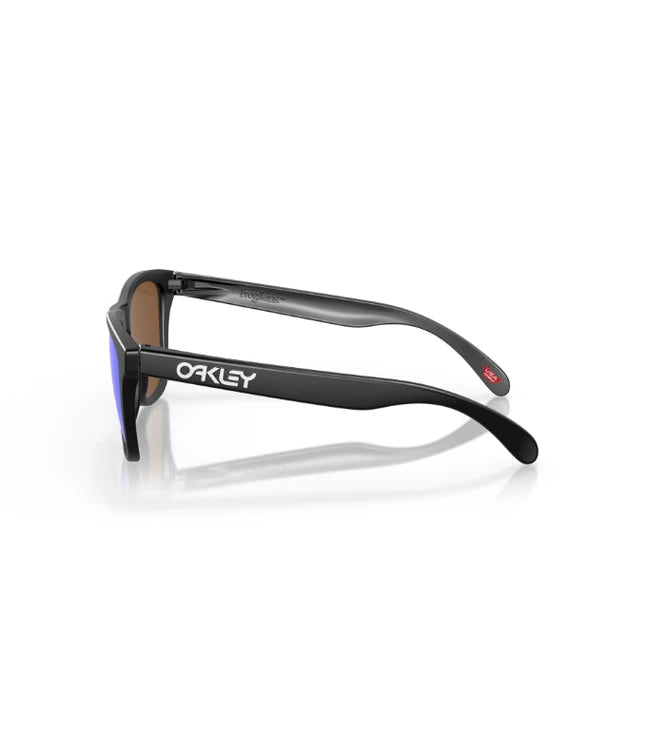 Oakley Frogskins OO9013 Designer Sunglasses