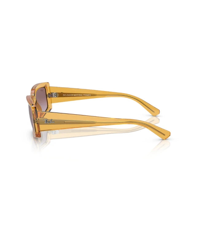Ray-Ban Kiliane RB4395 Designer Sunglasses