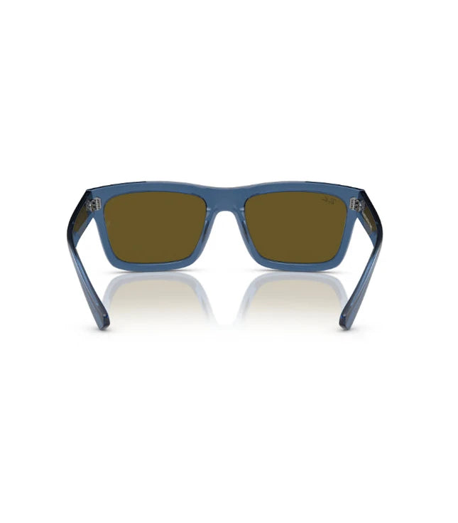 Ray-Ban Warren RB4396 Designer Sunglasses