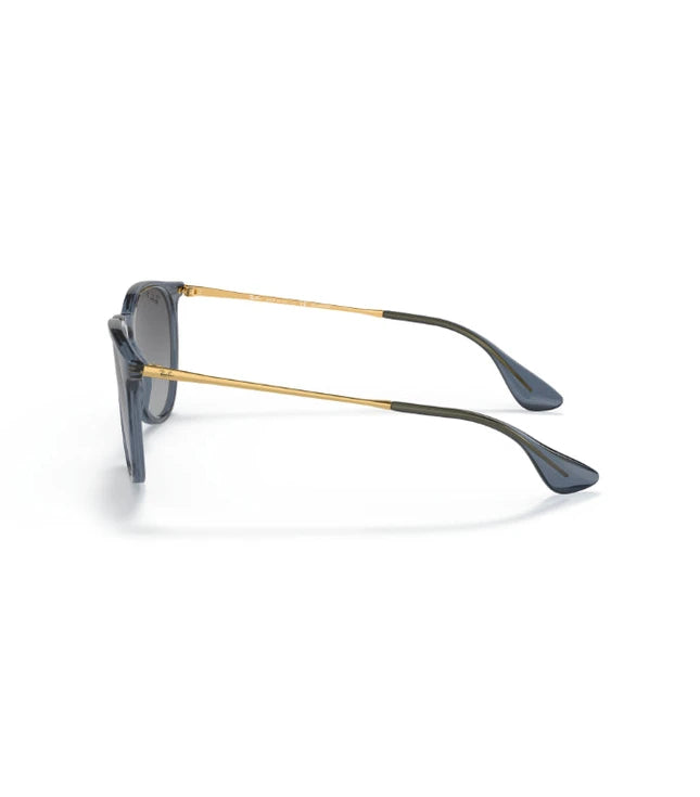 Ray-Ban Erika RB4171 Designer Sunglasses