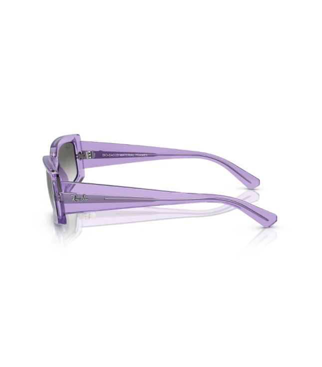 Ray-Ban Kiliane RB4395 Designer Sunglasses