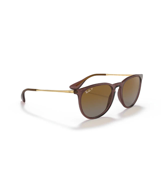 Ray-Ban Erika RB4171 Designer Sunglasses