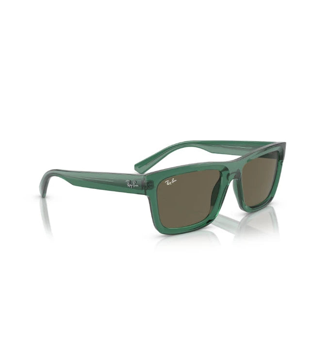 Ray-Ban Warren RB4396 Designer Sunglasses