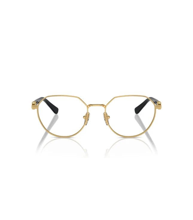 Eyeglasses