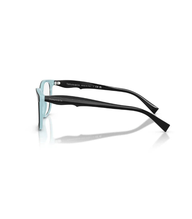 Eyeglasses