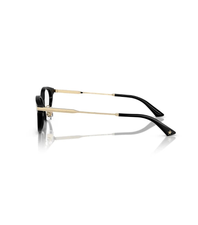 Eyeglasses