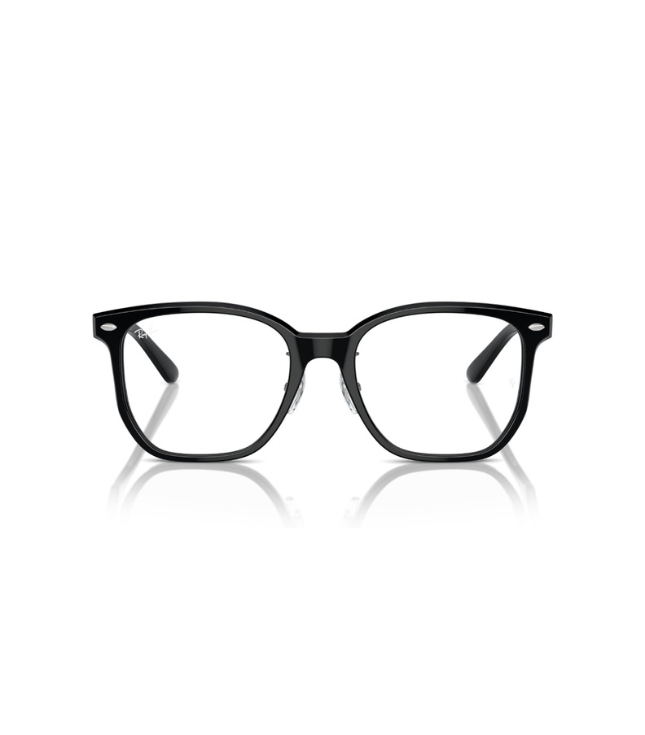 Eyeglasses