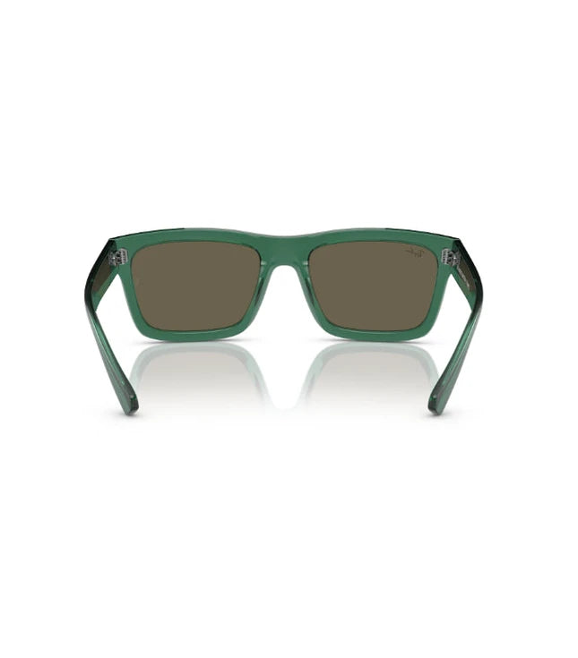 Ray-Ban Warren RB4396 Designer Sunglasses