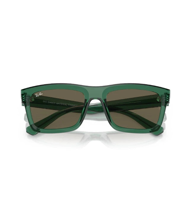 Ray-Ban Warren RB4396 Designer Sunglasses
