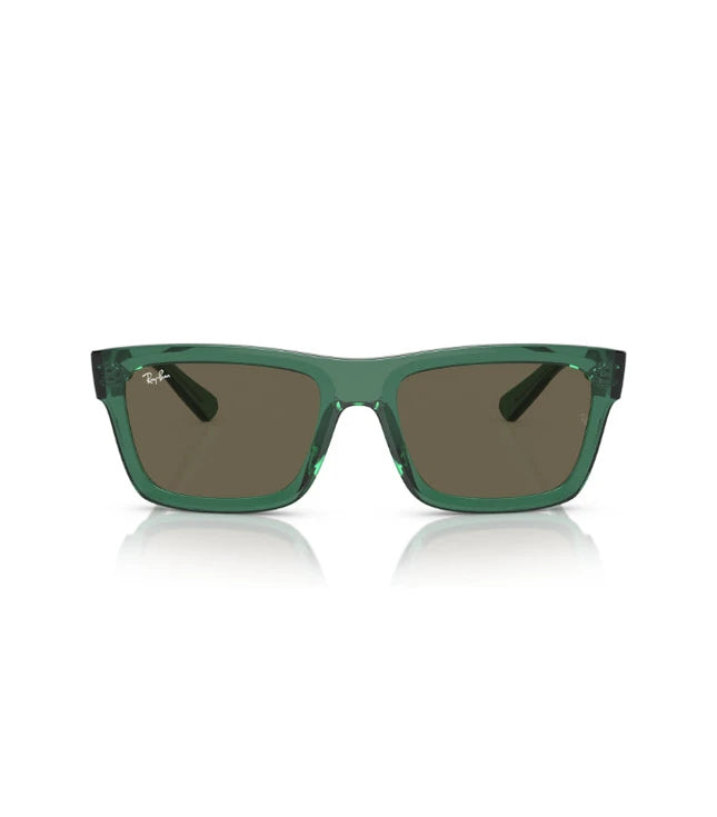 Ray-Ban Warren RB4396 Designer Sunglasses
