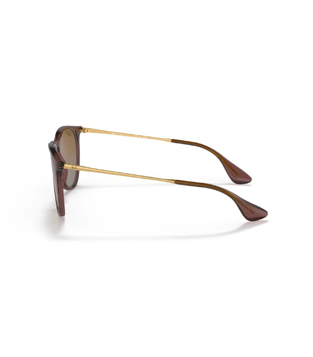 Ray-Ban Erika RB4171 Designer Sunglasses