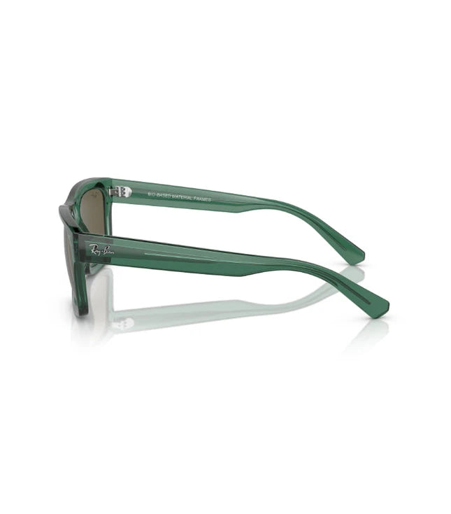 Ray-Ban Warren RB4396 Designer Sunglasses