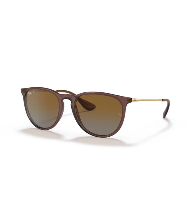 Ray-Ban Erika RB4171 Designer Sunglasses