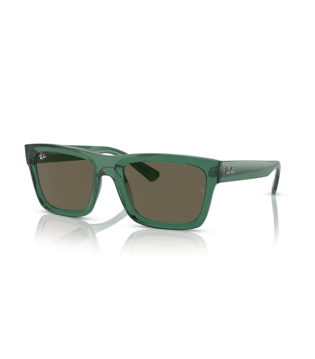 Ray-Ban Warren RB4396 Designer Sunglasses
