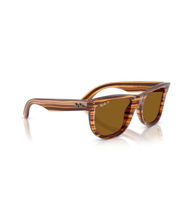 Ray-Ban Wayfarer Reverse RBR0502S Designer Sunglasses