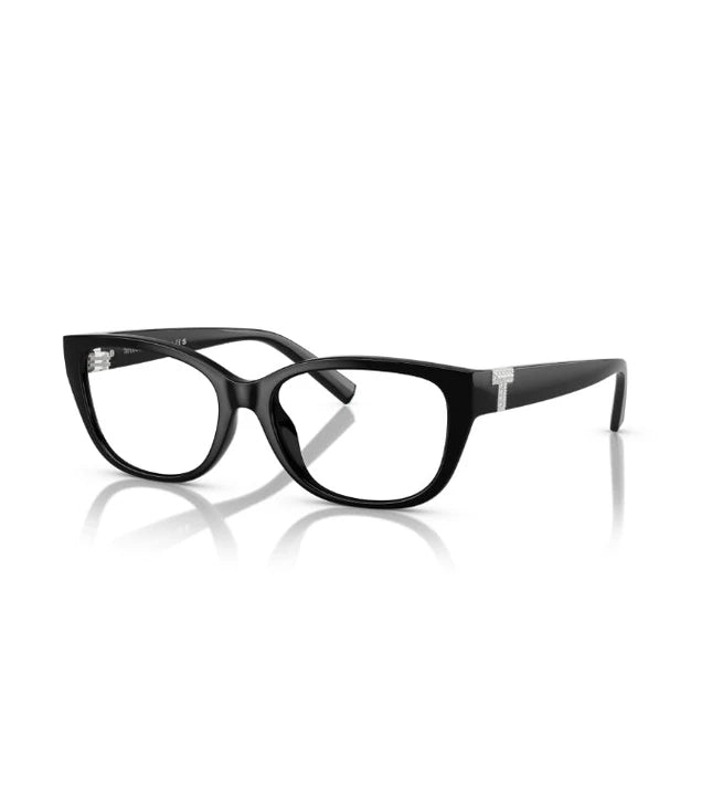 Eyeglasses