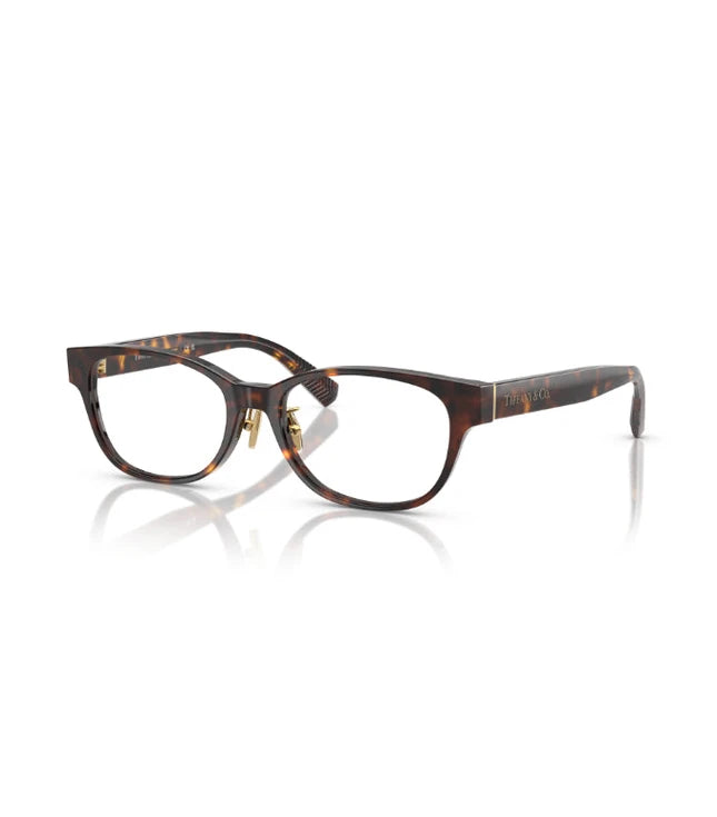 Eyeglasses