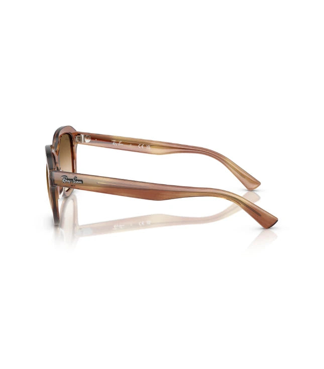 Ray-Ban Erik RB4398 Designer Sunglasses